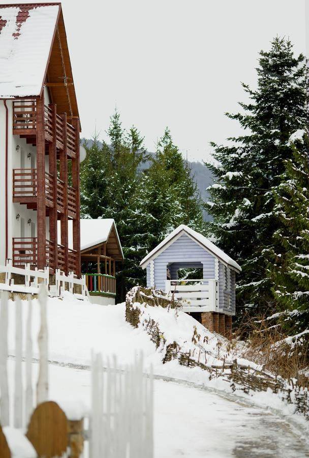 Фото Отели Welland Отель Яремче 23